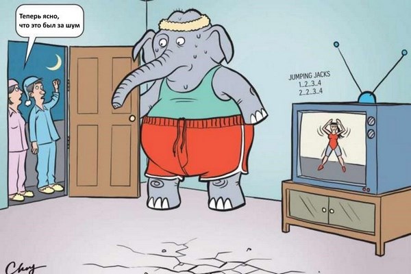 Слон в квартире