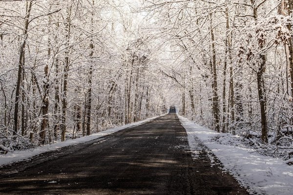 На фото – дорога зимой